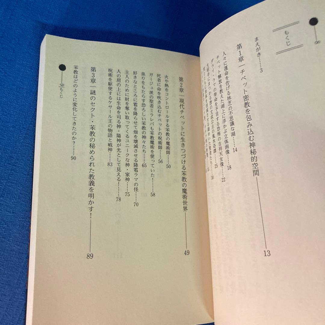【レア本セット！】神秘！チベット密教入門　秘伝チベット密教奥義　高藤聡一郎