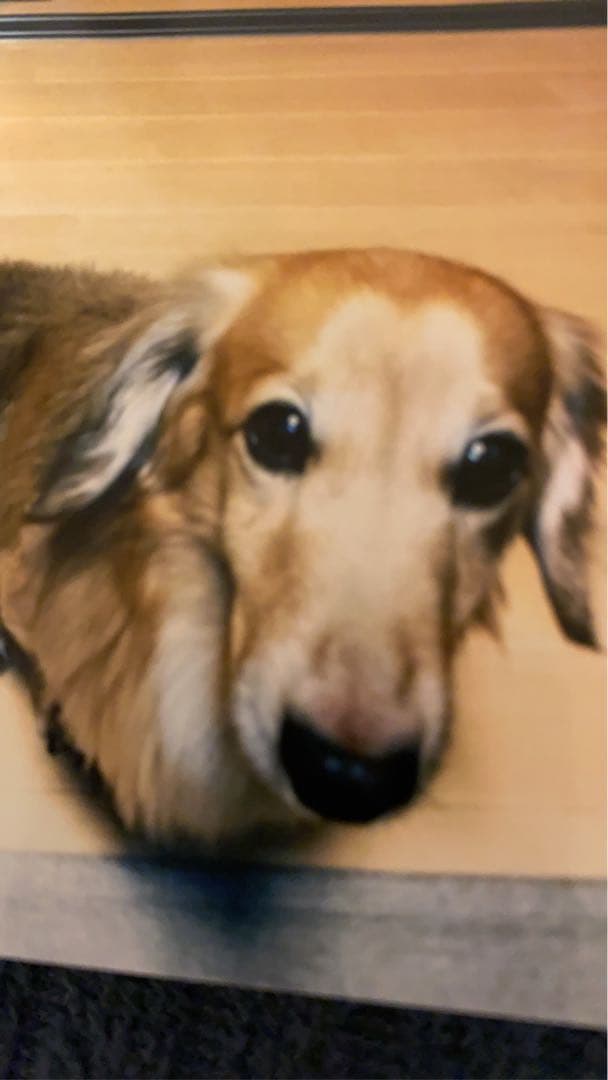 モダンガラステーブル