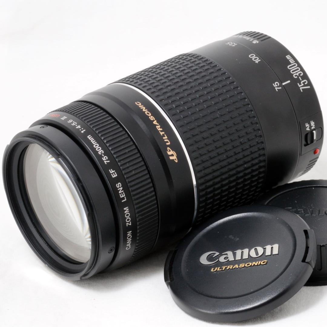 ⭐️美品⭐️Canon キャノン EF 75-300mm 4-5.6 Ⅲ USM
