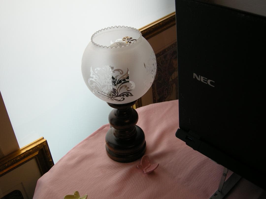 動作確認済 ニコン Nikon COOLPIX P5000 オールドコンデジ