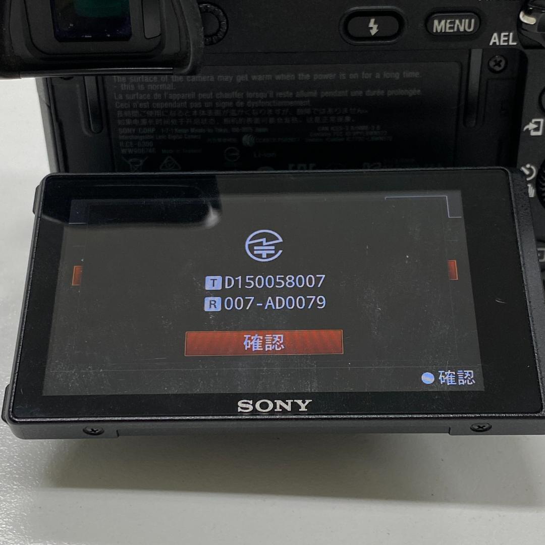 Sony a6300 動画撮影セット
