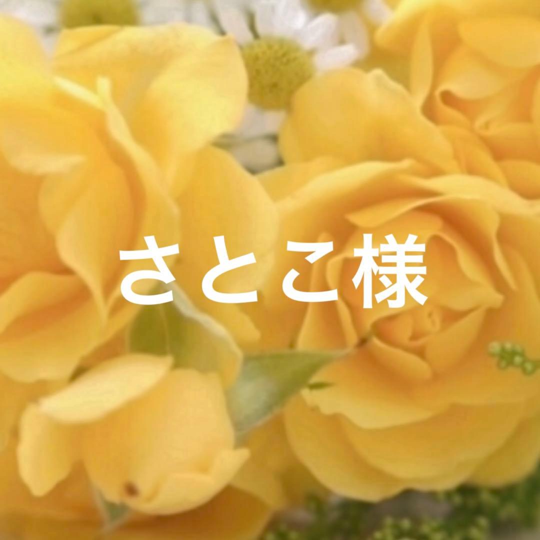 ダッフィー 、シェリーメイ 用コスチューム