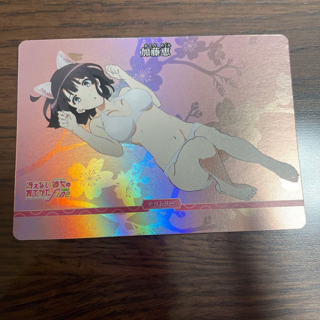 加藤恵　VT ビルディバイド　冴えカノ