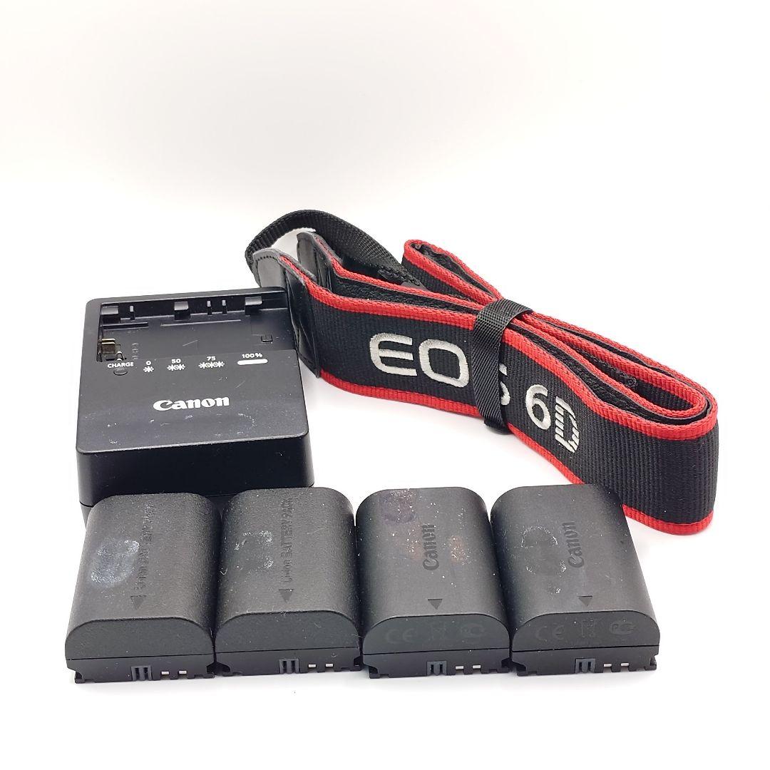 【土日割引】Canon EOS 6D HKIR天体改造機【ハヤタ・カメララボ製】