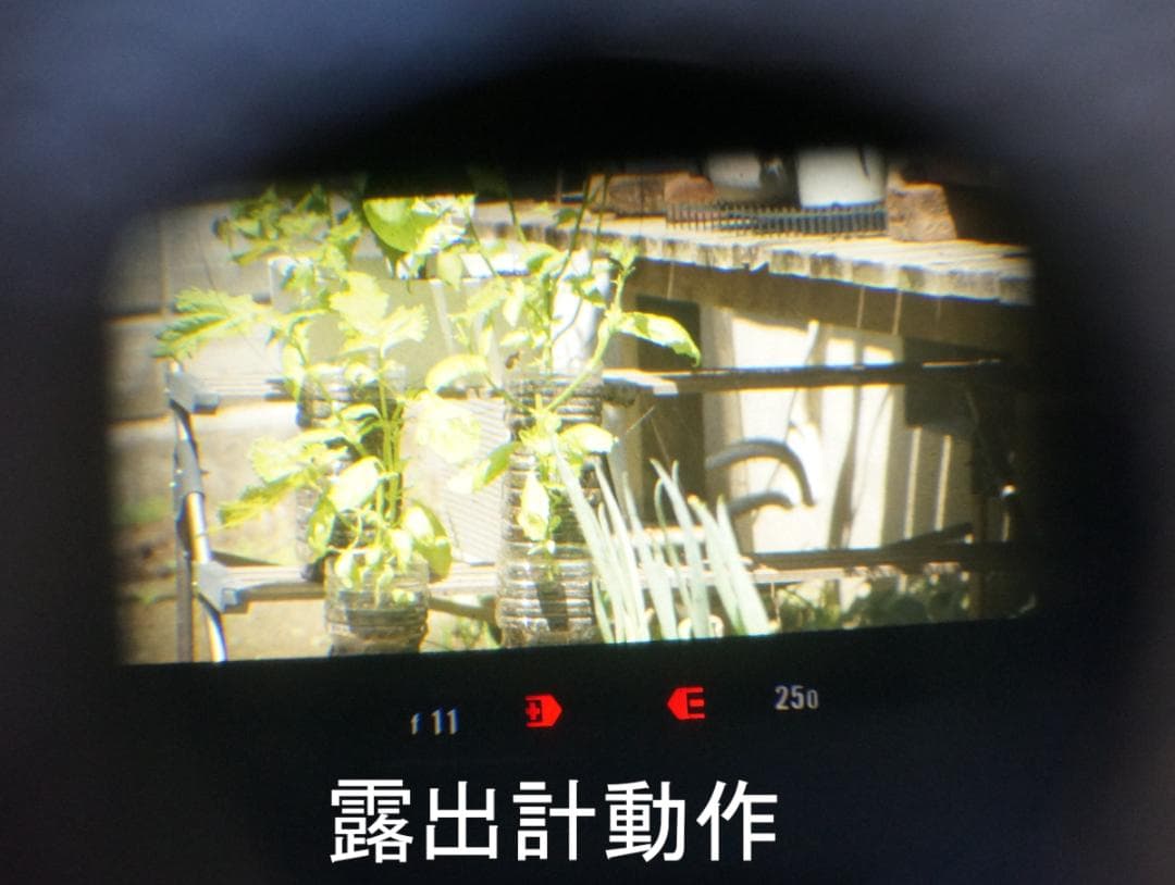 NIKON F２フォトミックS ／ズームレンズ／ フィルム２本