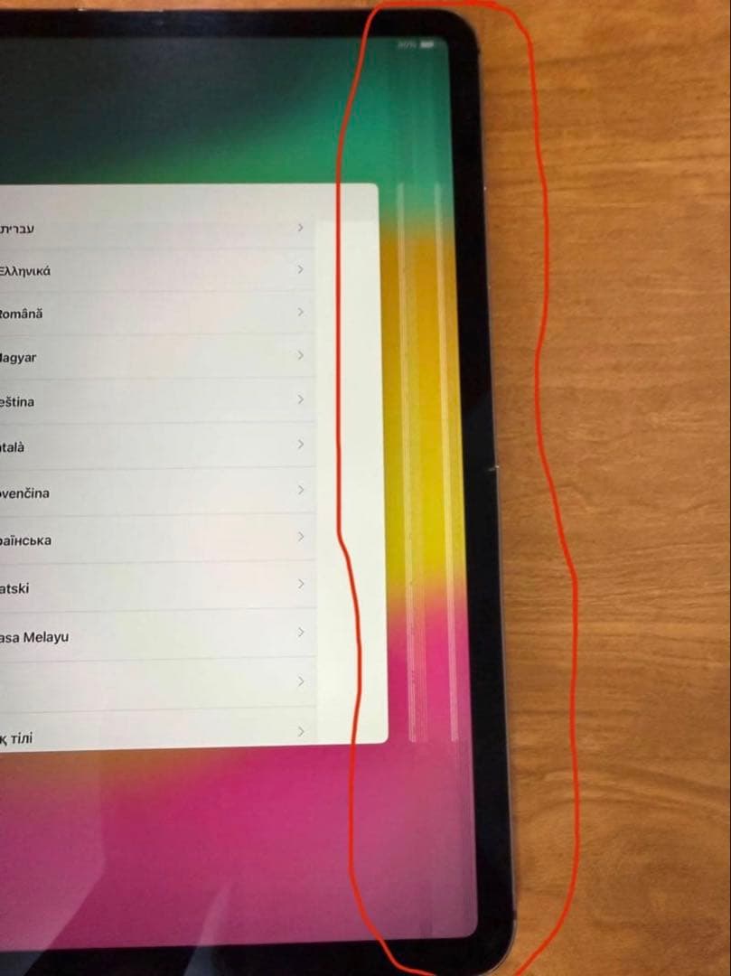 「訳あり品」iPad Pro Wi-Fi + Cellular