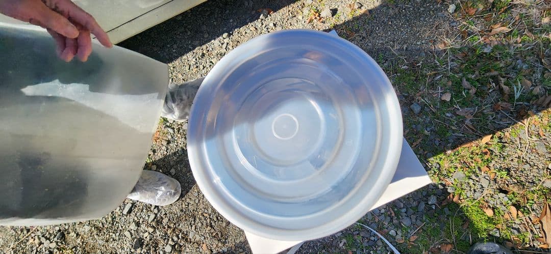 【ponta】MITSUBISHI ELECTRIC こね丸生舟