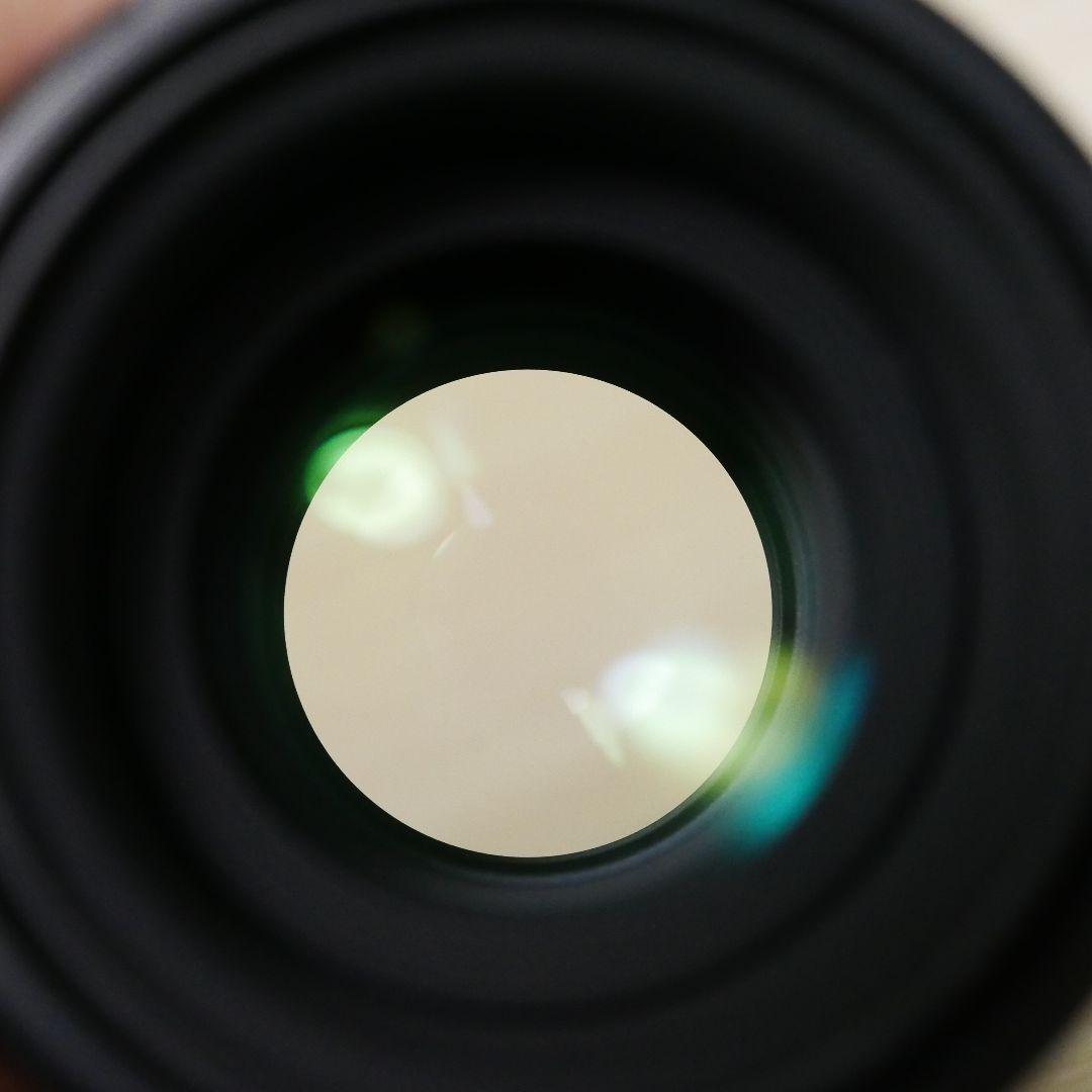 PENTAX DFA 100mm F2.8 Macro レンズ