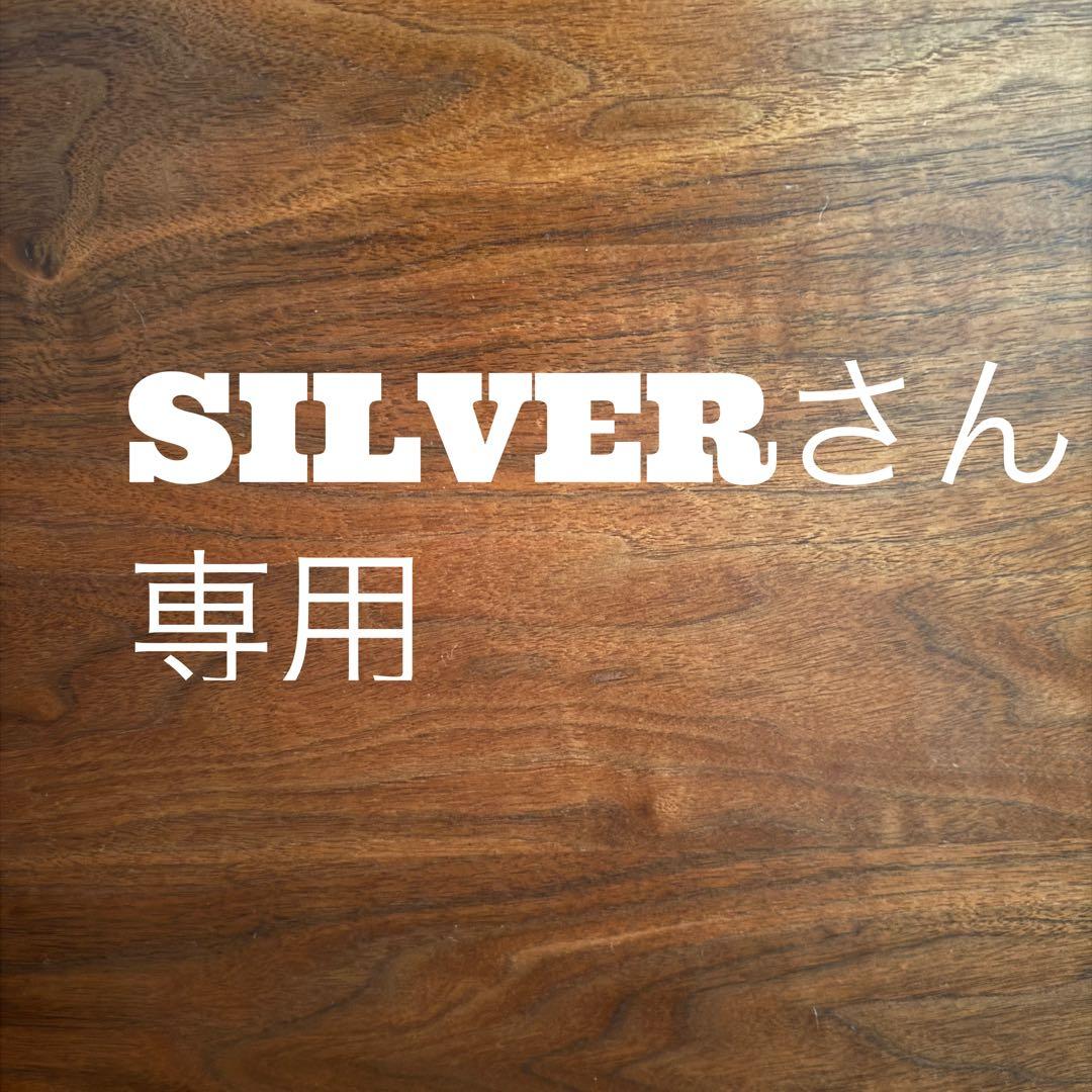 SILVERさん　専用　2点