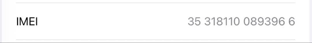 ほぼ未使用 ￼iPad mini5 セルラー 256GB 純正バッテリ100％