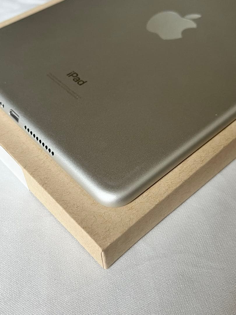 ほぼ未使用 ￼iPad mini5 セルラー 256GB 純正バッテリ100％