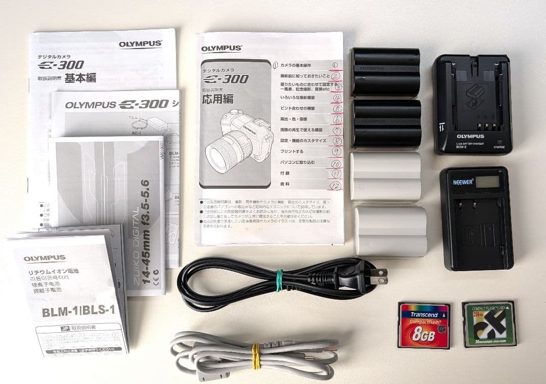 OLYMPUS E-300 レンズ付き ショット数少 Kodak CCD搭載