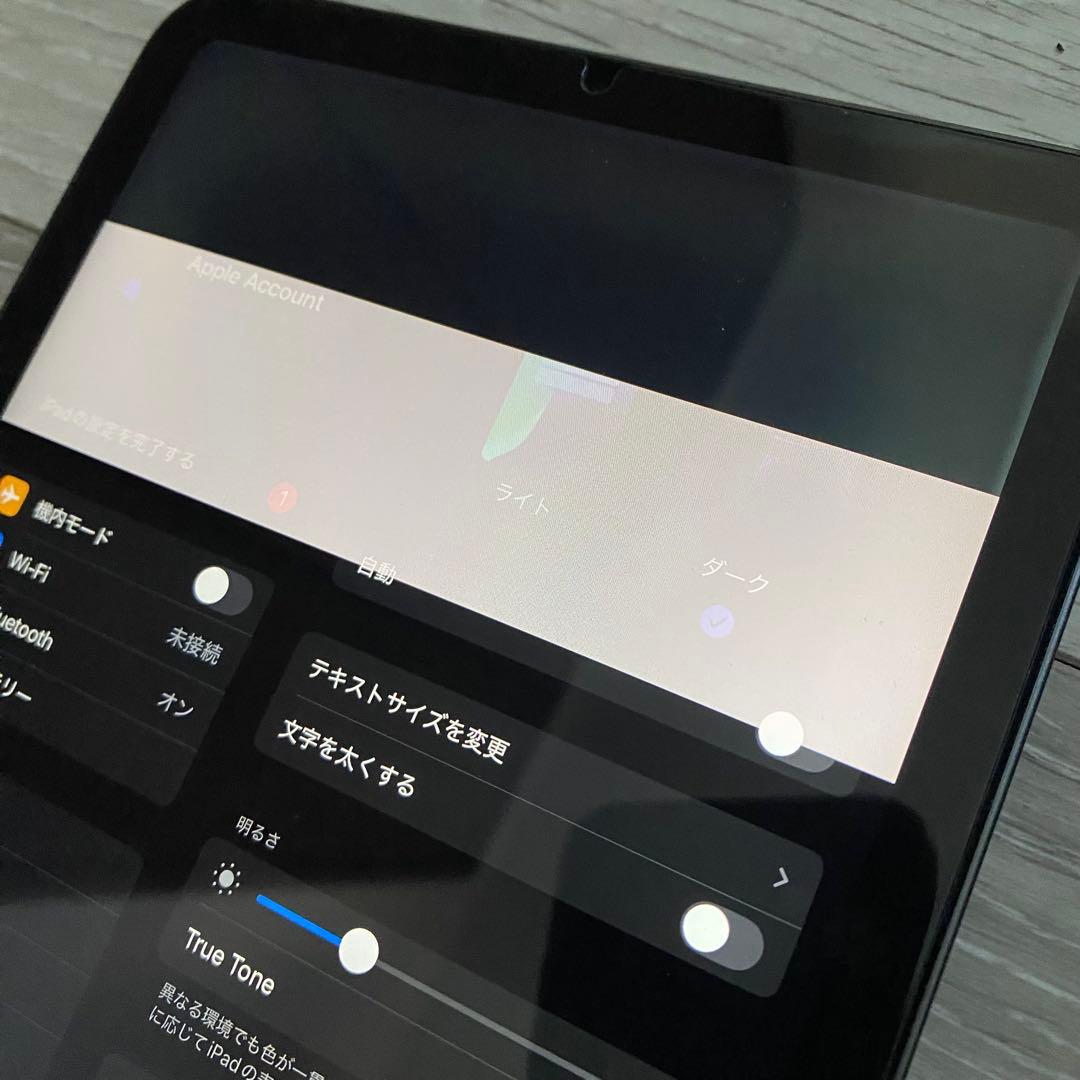 画面不良｜iPad mini 第6世代 64GB Wi-Fiモデル A2567