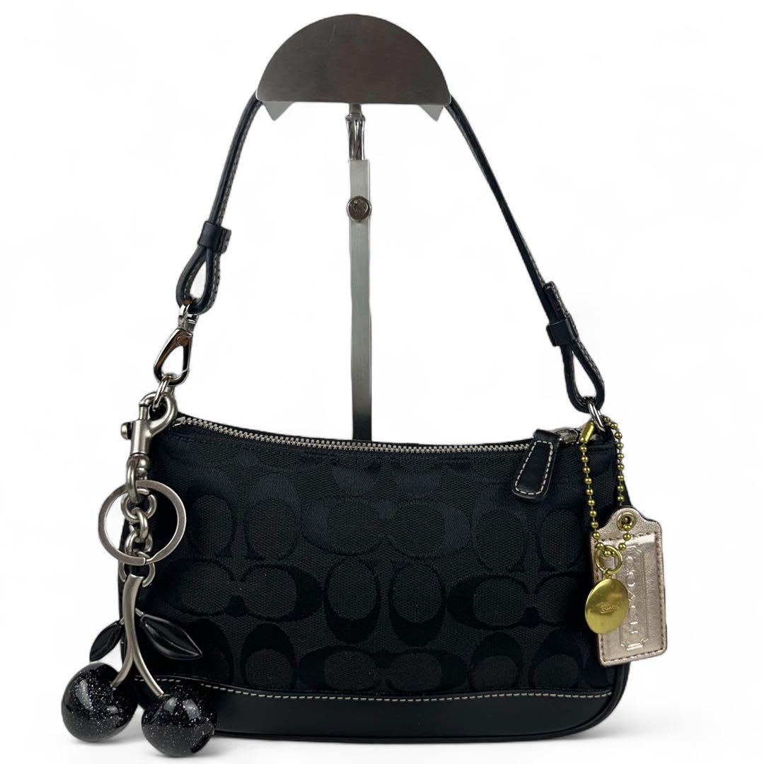 【極美品】コーチ アクセサリーポーチ チェリーチャーム 黒 6094 C5