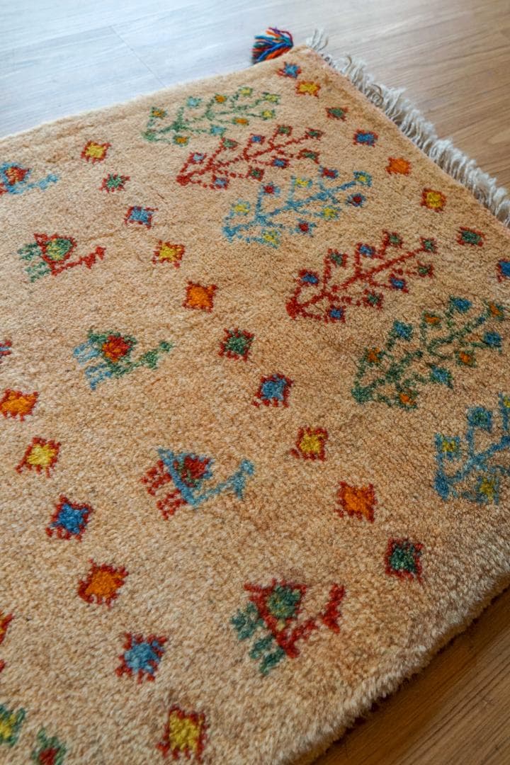 75×54cm ペルシャ絨毯 手織り ギャッベ アマレ族 ギャベ