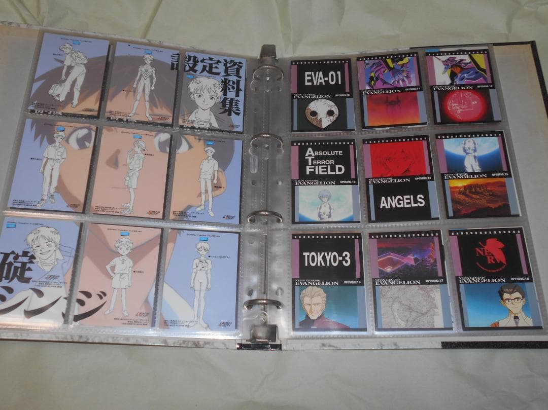 d*9様 エヴァ　トレカ　カード　まとめ　バインダー入り　ノーマルのみ　1集　版