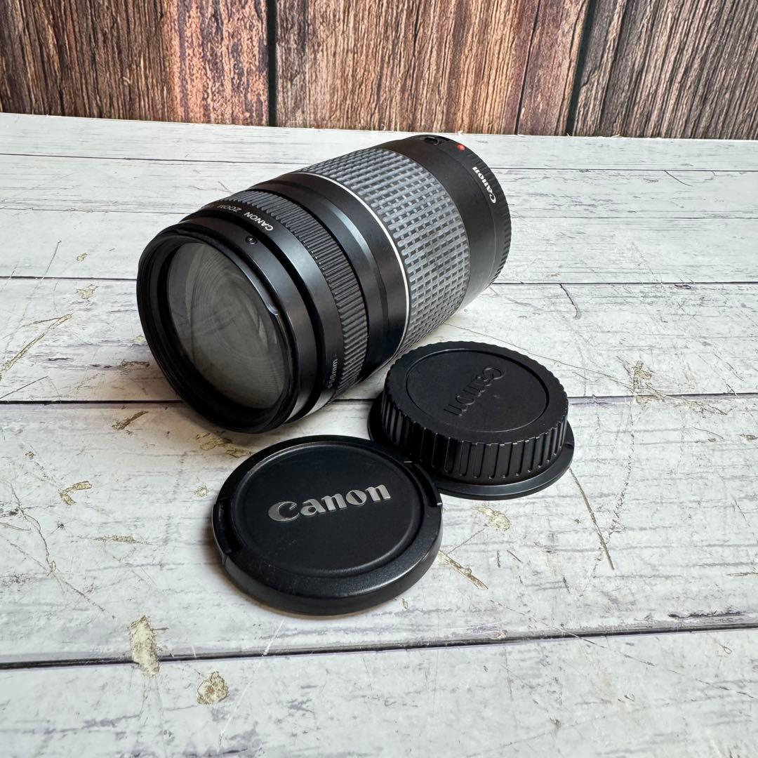 CANON ZOOM LENS EF 75-300mm 1:4-5.6 Ⅲ