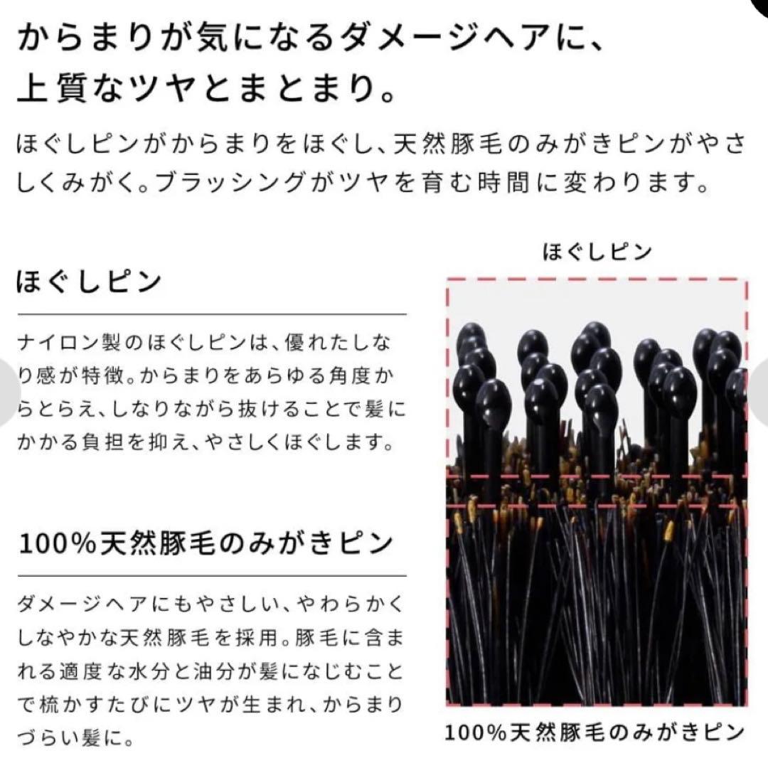 リファエールブラシレイ＆ショッパーセット　ポストカード　クリスマス仕様