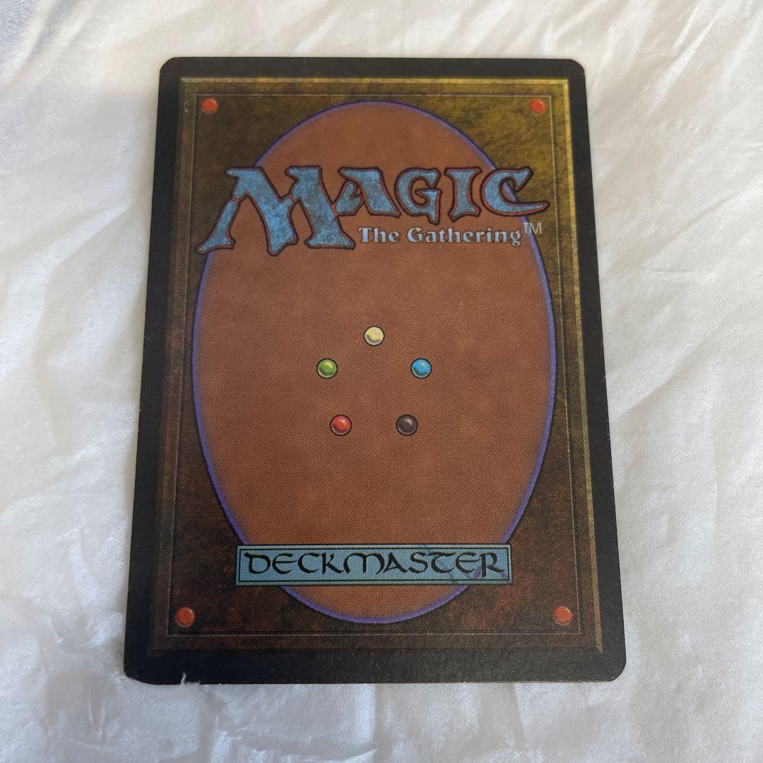 極楽鳥 黒枠 日本語 Bird of Paradise