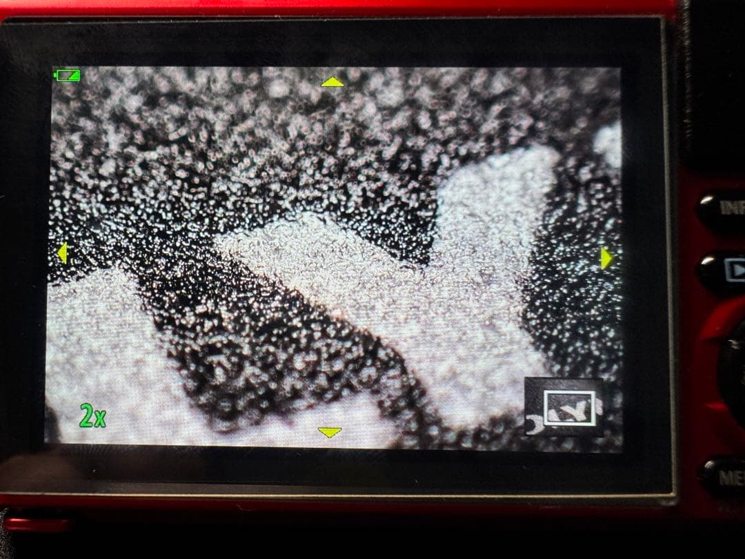 オリンパス TG-6 デジカメ マクロ撮影