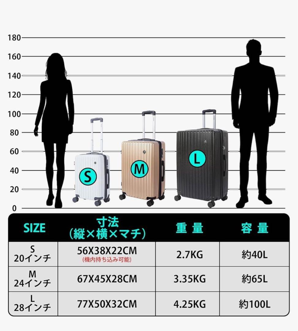 L スーツケース キャリーケース 拡張 100L 28インチ TSA 海外旅行