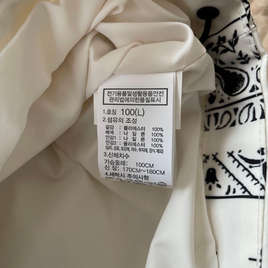 韓国限定　ノースフェイス マウンテンジャケット ゴアテックス ペイズリー　L