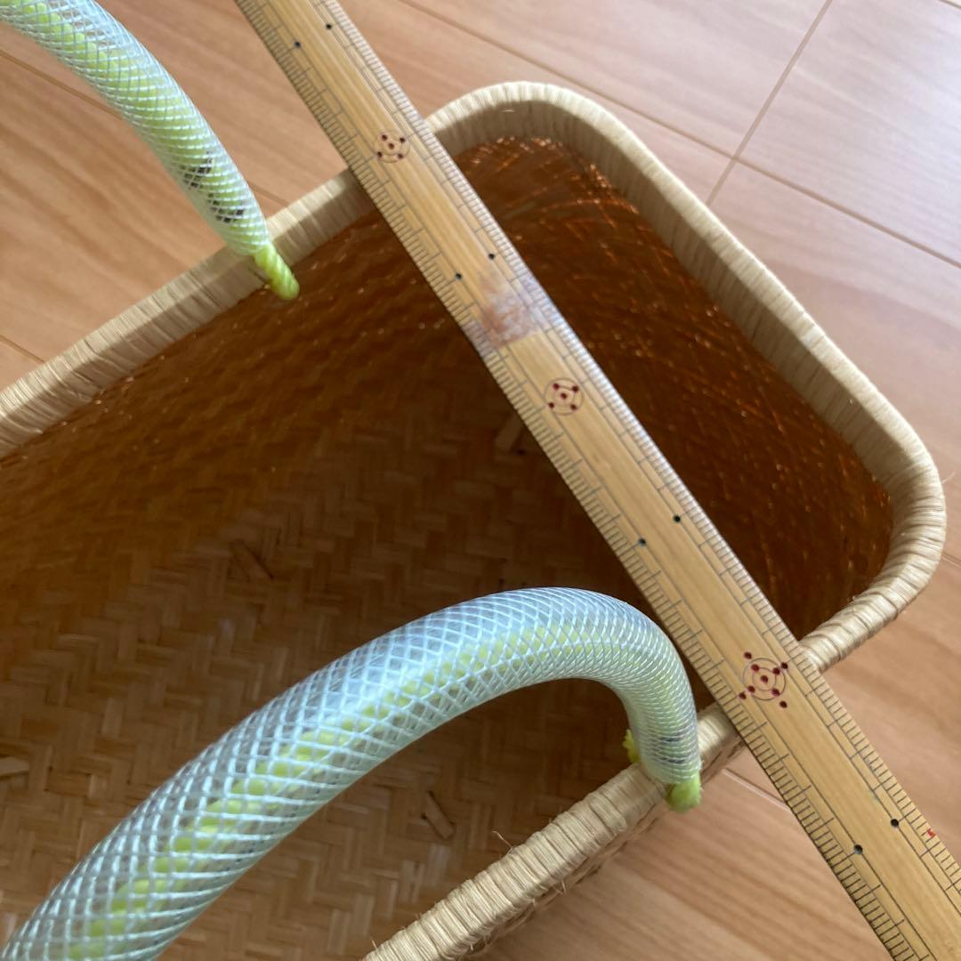 竹市場カゴ　自宅保存