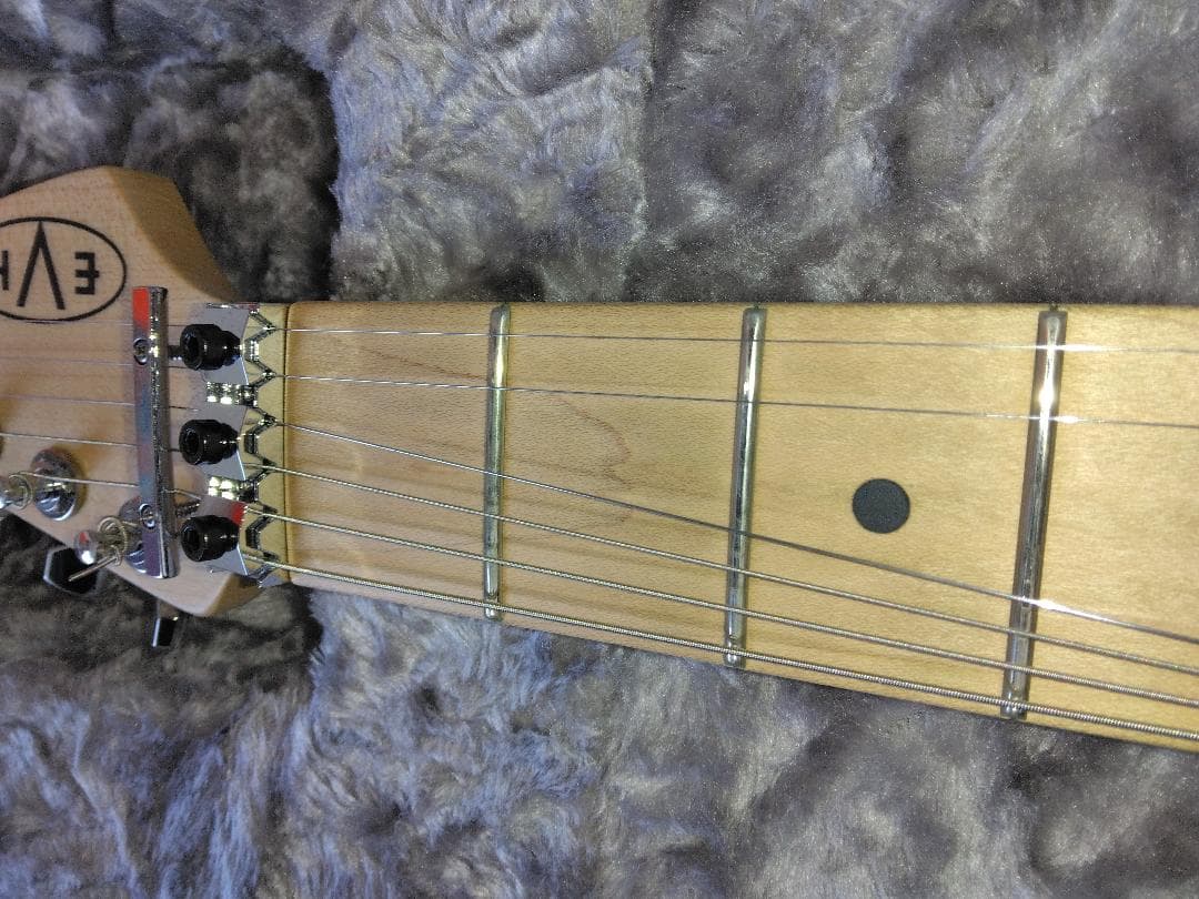 tatsu.tk.kamata　EVH Striped 白黒（ギターのみ）