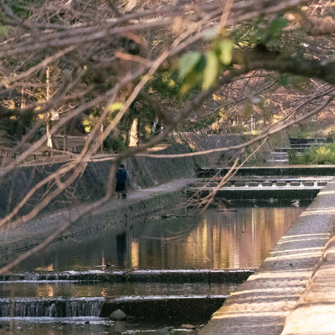 NikonD750 フルサイズ機+ズームレンズ1本+単焦点レンズ1本