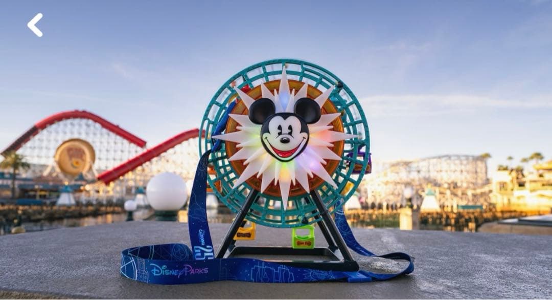 【即日対応】カリフォルニア　ディズニー　ポップコーンバケット