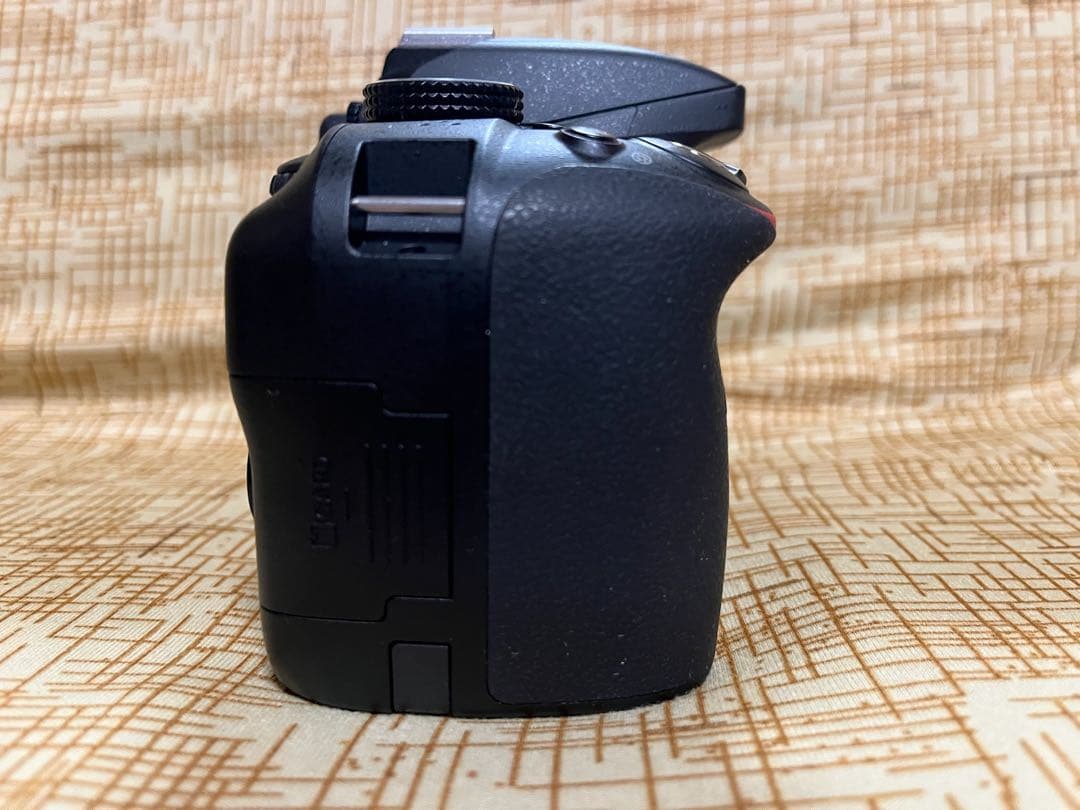 【美品!ショット数2028枚!】Nikon D3300 18-55レンズキット