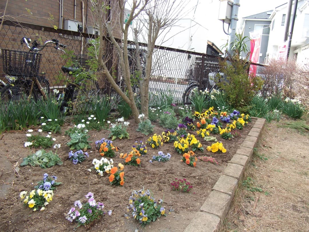 実写美⭕️美品【動作確認済】FUJIFILM FinePix JX200