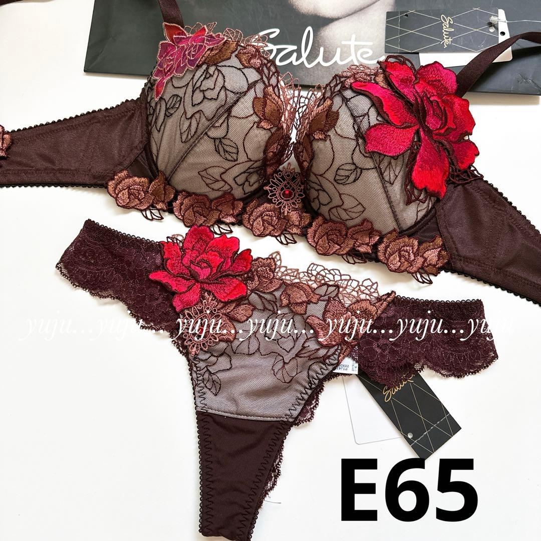 ワコール/サルート 76グループ p-upブラ TバックE65 WI