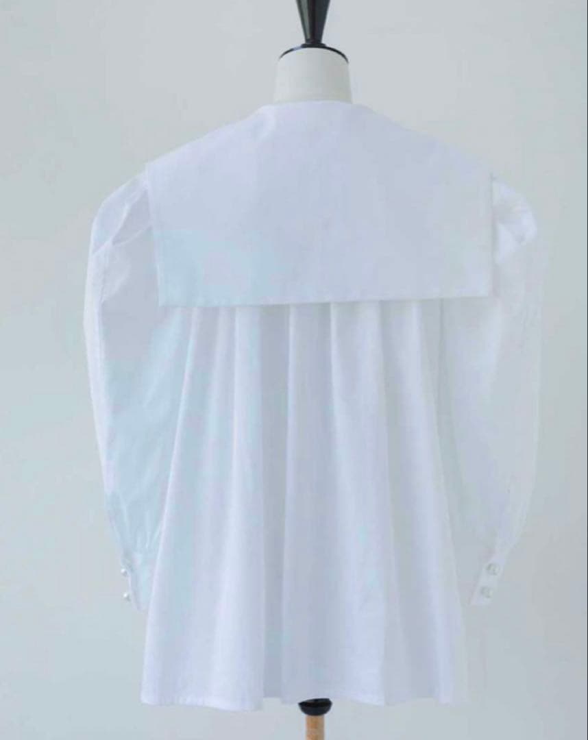 セツコサジテール　setsuko sagittaire マルグリットホワイト