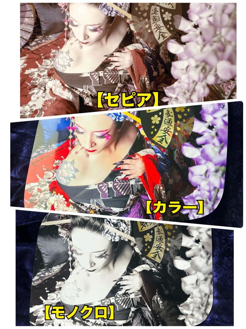 安全窓日野、レンジャー、グランドプロフィア.17プロフィア～『花魁』パネル