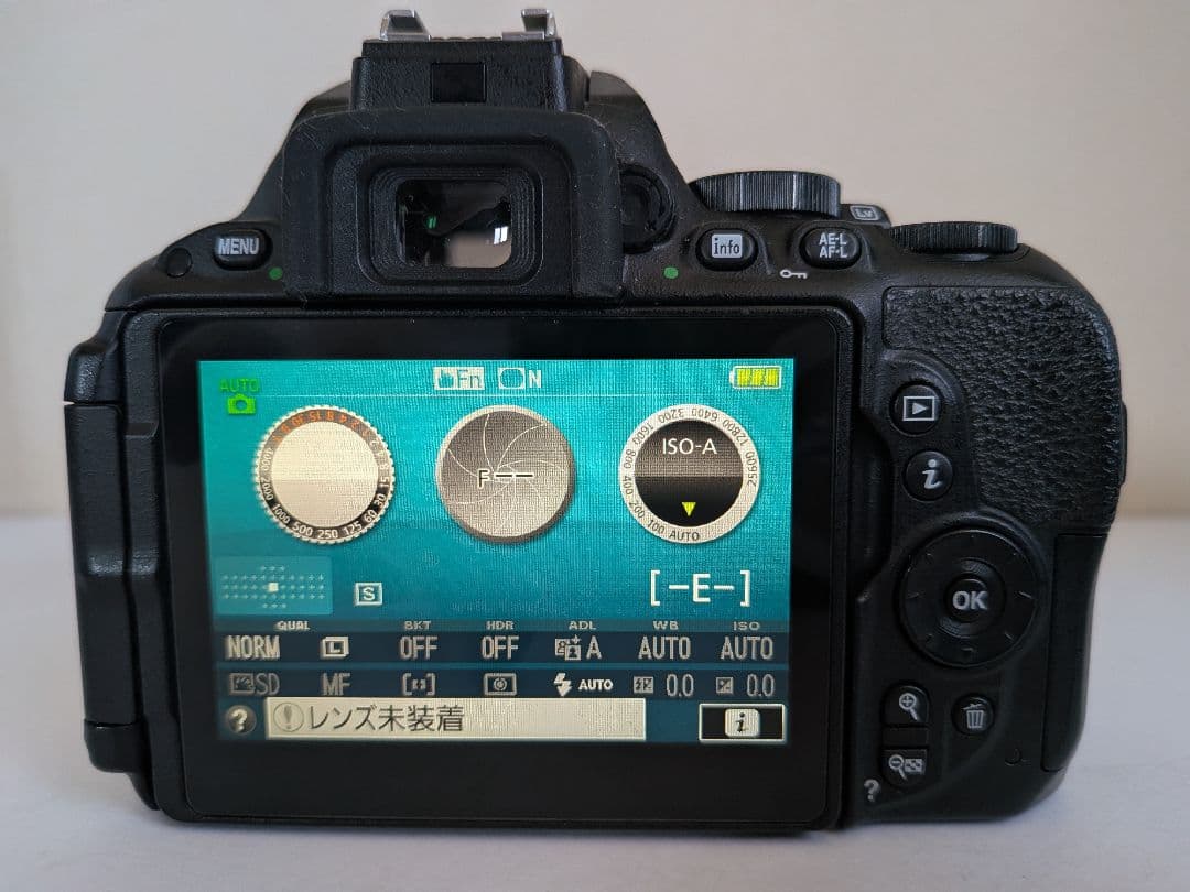 ​♥美品♥Nikon D5500◆タッチパネル＆自撮りOK　ボディ