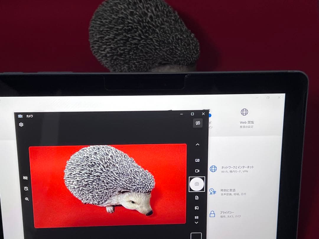 Microsoft Surface Go 64Gb (Pencil,カバー)付き