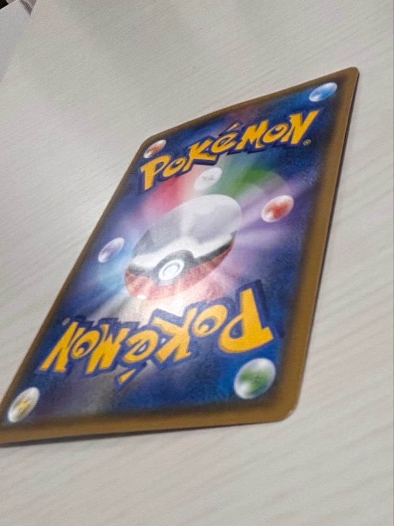 ポンチョを着たイーブイ　ブラッキー