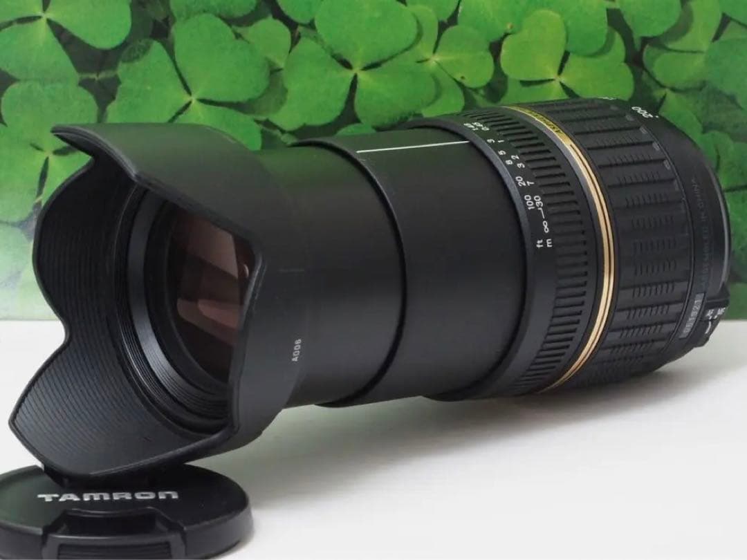 【超美品】❤️タムロン AF18-200mm 超望遠神レンズ（Nikon用）