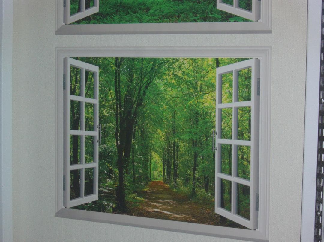 CASIO EXILIM EX-Z1000 コンパクトデジタルカメラ