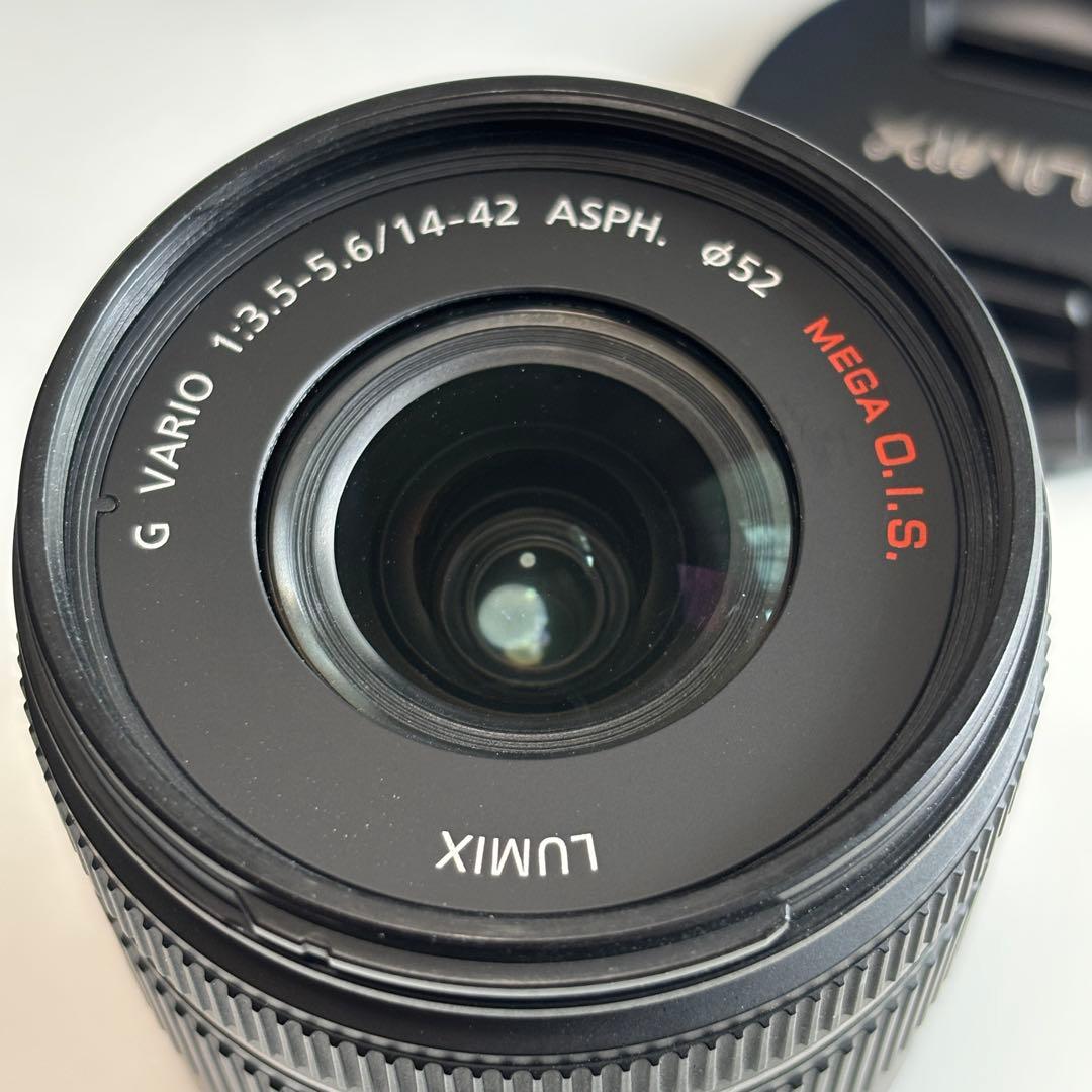 Panasonic Lumix DC-G100 ミラーレスカメラ &レンズ