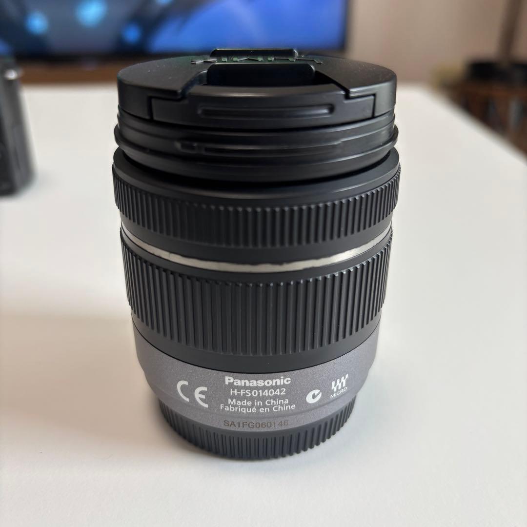 Panasonic Lumix DC-G100 ミラーレスカメラ &レンズ