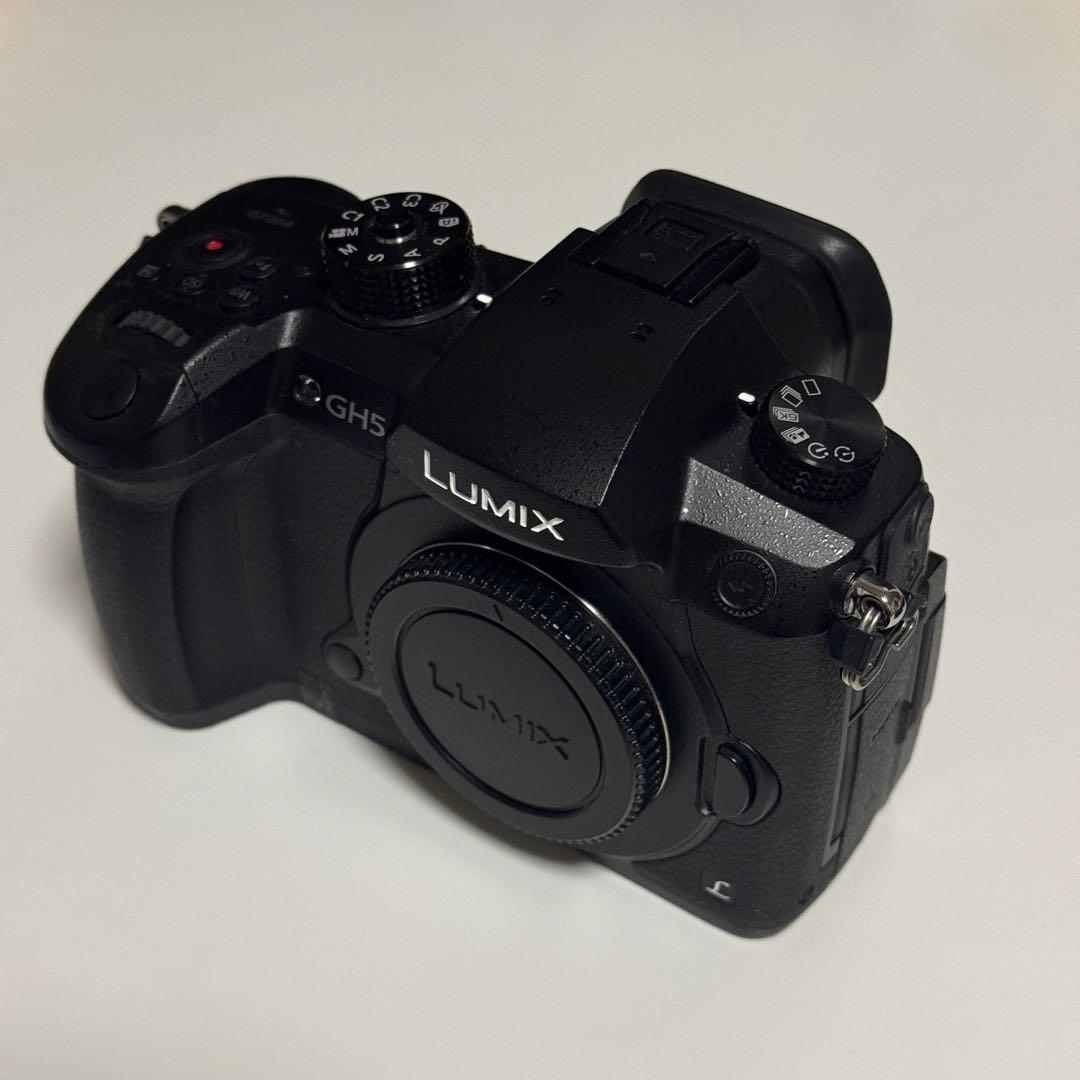LUMIX GH5 ミラーレスカメラ 本体 DC-GH5