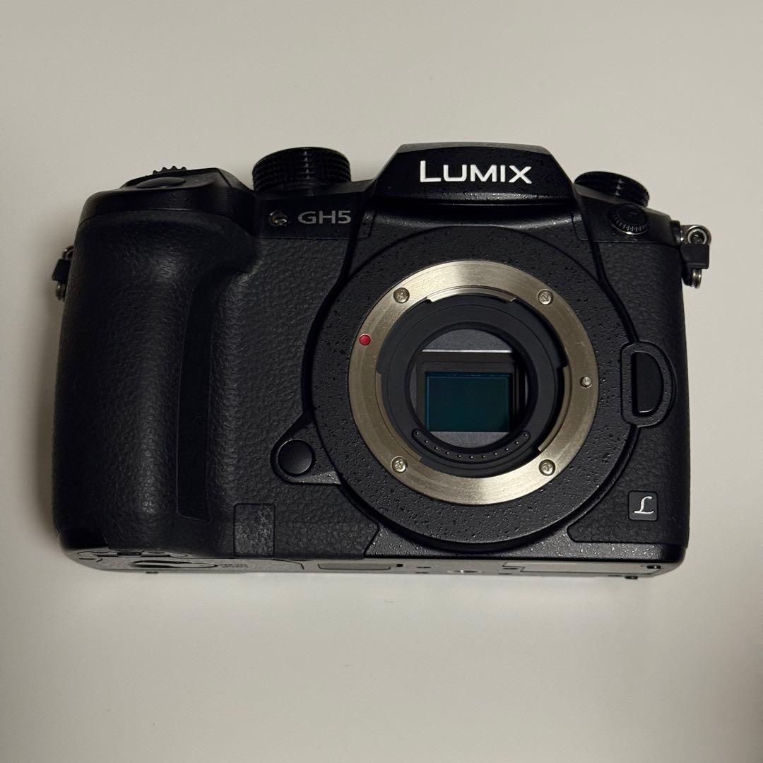 LUMIX GH5 ミラーレスカメラ 本体 DC-GH5