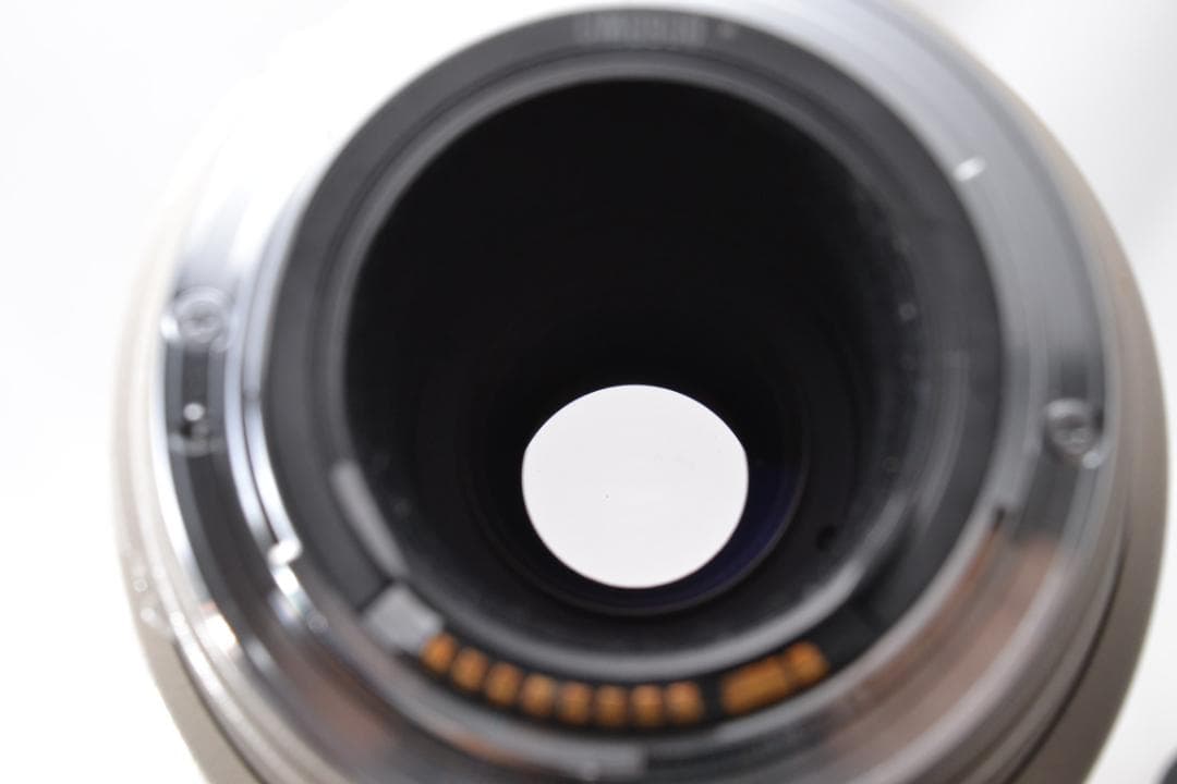 ■ 美品 ■ キャノン　EF100-400mm F4.5-5.6L IS USM