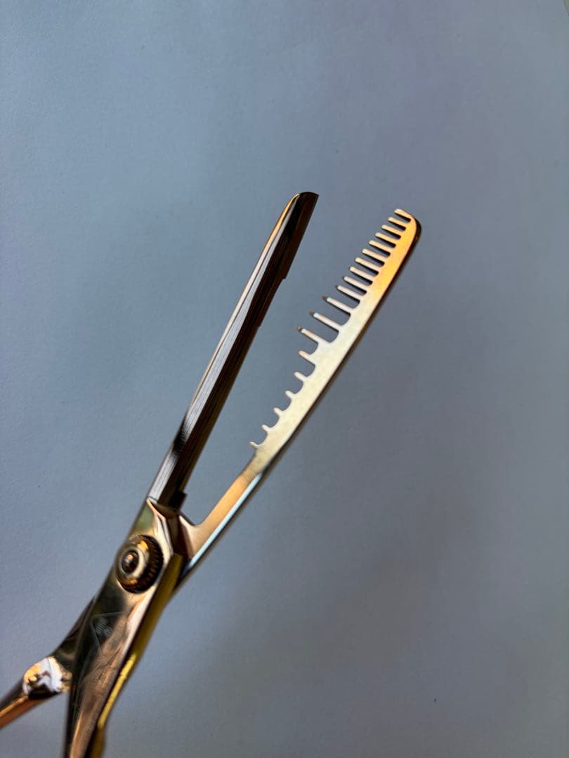 ヘアリセッター　トラインボーン　アルミケース付き