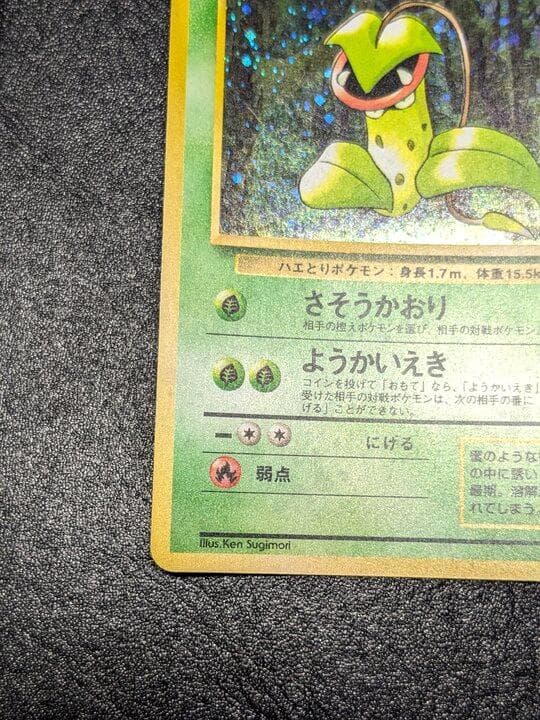 ポケモンカード 旧裏 ウツボット