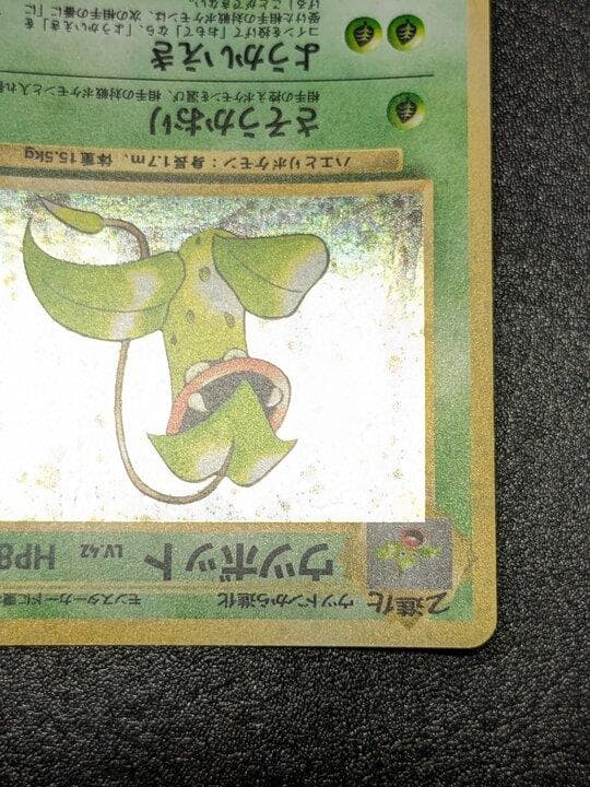 ポケモンカード 旧裏 ウツボット