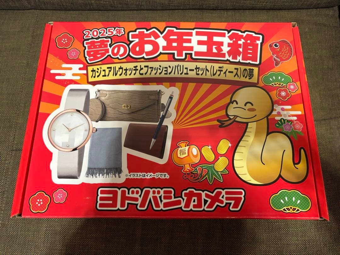 2025ヨドバシ夢のお年玉箱 カジュアルウォッチとファッションバリューセットの夢