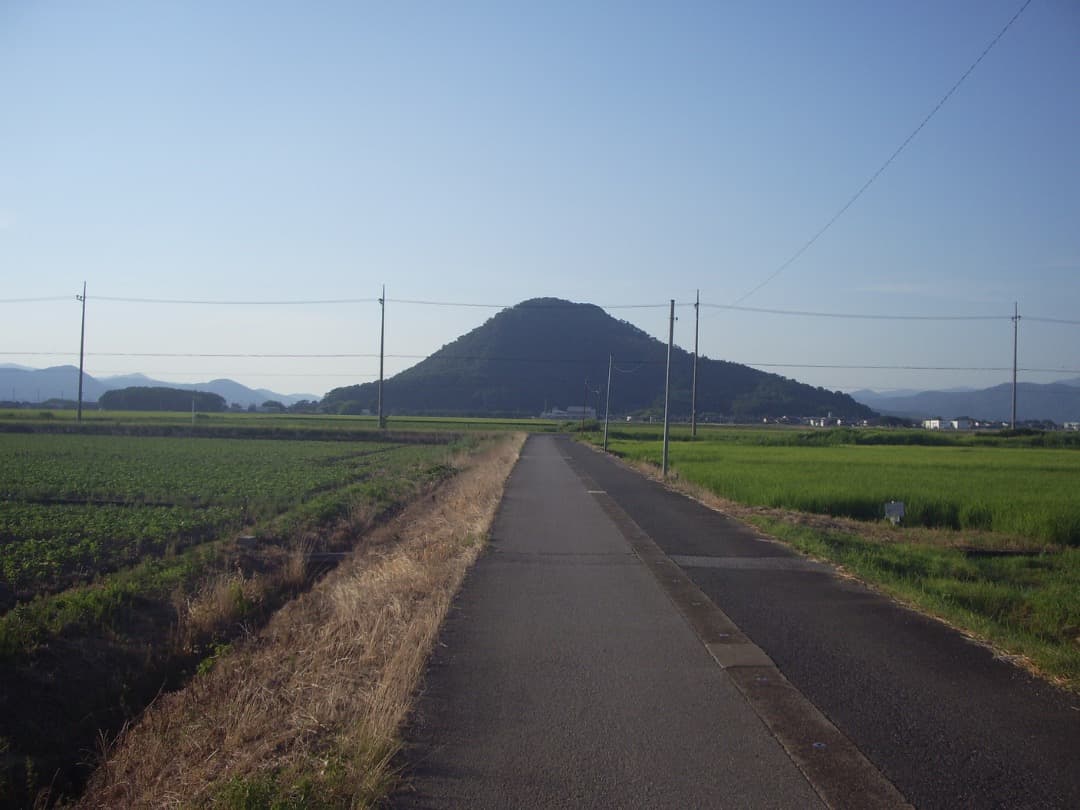 SDカード付/実写美⭕️美品【動作確認済】PENTAX OPTIO S60